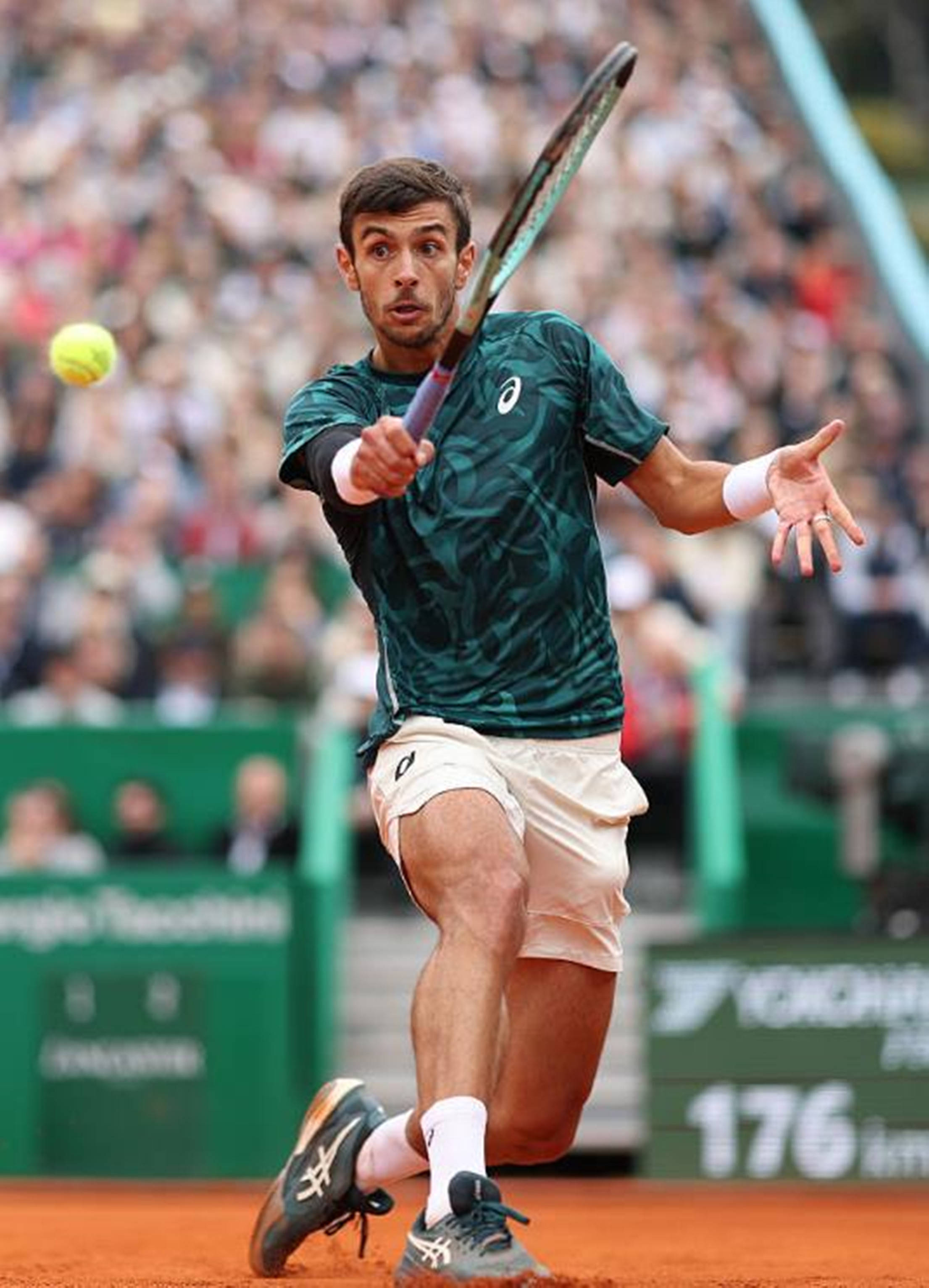 术多样性 术多样性